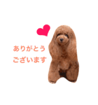 みぃのきもち2（個別スタンプ：15）