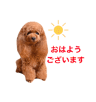 みぃのきもち2（個別スタンプ：18）