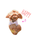 みぃのきもち（個別スタンプ：4）
