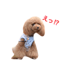 みぃのきもち（個別スタンプ：12）