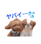 まるみとみぃのきもち（個別スタンプ：2）
