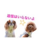 まるみとみぃのきもち（個別スタンプ：7）