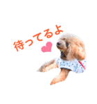 まるみとみぃのきもち（個別スタンプ：8）