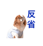 まるみとみぃのきもち（個別スタンプ：17）