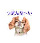 まるみとみぃのきもち（個別スタンプ：18）