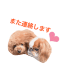 まるみとみぃのきもち（個別スタンプ：19）