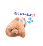 まるみとみぃのきもち（個別スタンプ：20）