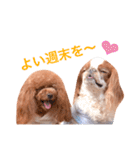 まるみとみぃのきもち（個別スタンプ：25）
