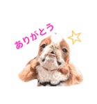 まるみとみぃのきもち（個別スタンプ：29）