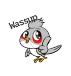 Fancy Red whiskered bulbul V. Eng（個別スタンプ：27）