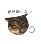 猫のまろさんver.ビジネス（個別スタンプ：2）
