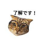 猫のまろさんver.ビジネス（個別スタンプ：3）