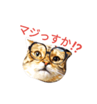 猫のまろさんver.ビジネス（個別スタンプ：7）
