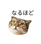 猫のまろさんver.ビジネス（個別スタンプ：9）