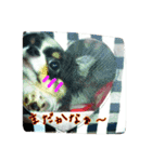 かるび4（個別スタンプ：14）