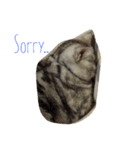 My Pet！！（個別スタンプ：3）
