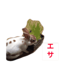仲良し家族とジジ（個別スタンプ：23）