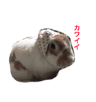 仲良し家族とジジ（個別スタンプ：32）
