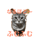 適当セット（個別スタンプ：6）
