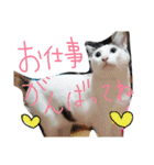 ミケネコとワンコ その2（個別スタンプ：2）