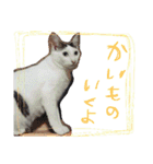 ミケネコとワンコ その2（個別スタンプ：15）