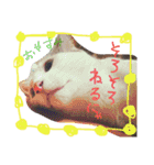 ミケネコとワンコ その2（個別スタンプ：20）
