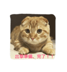 マンチカンのてびち君。（個別スタンプ：14）