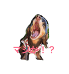 RANAの毎日（個別スタンプ：1）