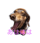 RANAの毎日（個別スタンプ：2）