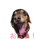 RANAの毎日（個別スタンプ：3）