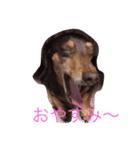 RANAの毎日（個別スタンプ：4）