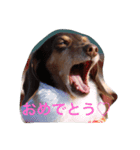 RANAの毎日（個別スタンプ：7）