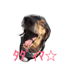 RANAの毎日（個別スタンプ：9）