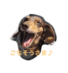 RANAの毎日（個別スタンプ：11）