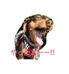 RANAの毎日（個別スタンプ：12）