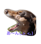 RANAの毎日（個別スタンプ：13）