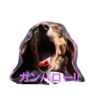 RANAの毎日（個別スタンプ：14）