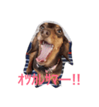 RANAの毎日（個別スタンプ：16）
