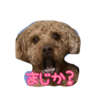 たっくん ご挨拶（個別スタンプ：2）