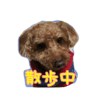 たっくん ご挨拶（個別スタンプ：3）