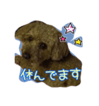 たっくん ご挨拶（個別スタンプ：5）