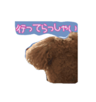 たっくん ご挨拶（個別スタンプ：8）