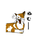 日常系癒し（個別スタンプ：9）