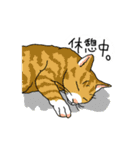 日常系癒し（個別スタンプ：33）