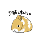 日常系癒し（個別スタンプ：37）