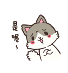 We love cat friends (2)（個別スタンプ：16）