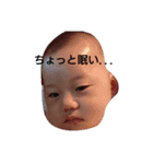 よしベビー（個別スタンプ：1）