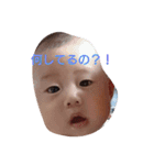よしベビー（個別スタンプ：2）