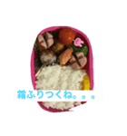 「あの」シンプル弁当シリーズ（個別スタンプ：8）