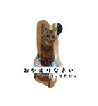 猫のりお（個別スタンプ：1）